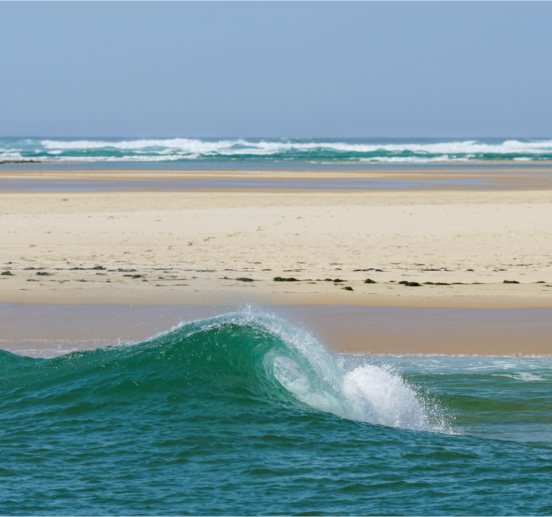 Offrez une photo du Bassin d'Arcachon